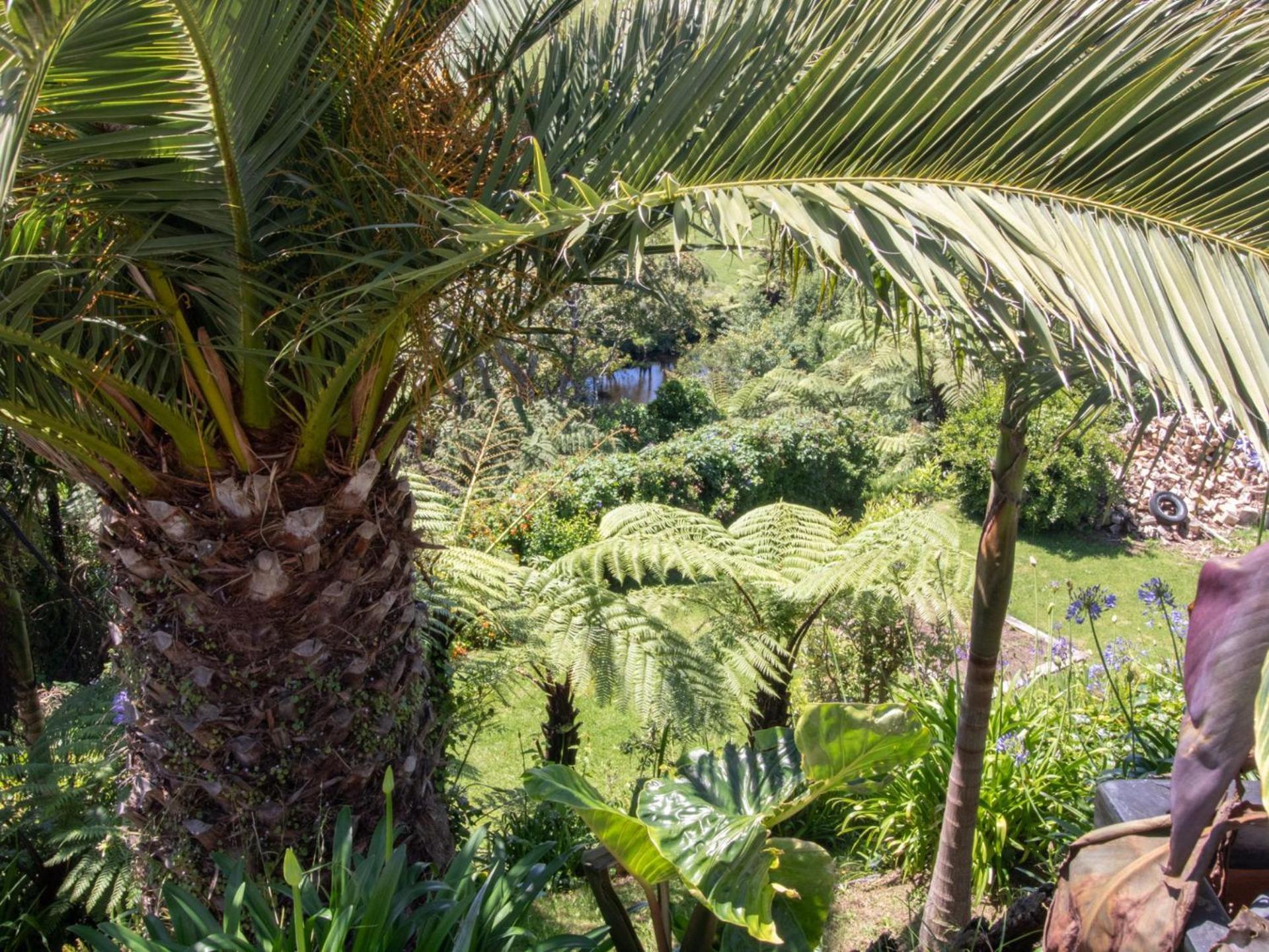 Butlers Lane The Retreat Villa Oakura Esterno foto